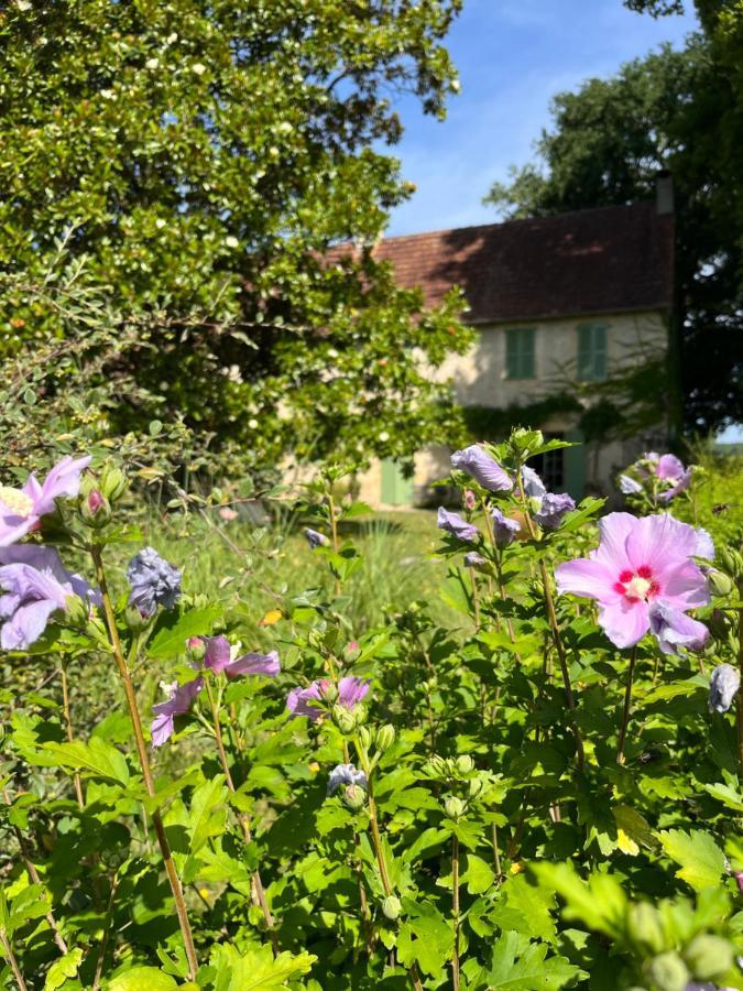 Le Clos Chalmon Chambre D'Hote モンティニャック エクステリア 写真